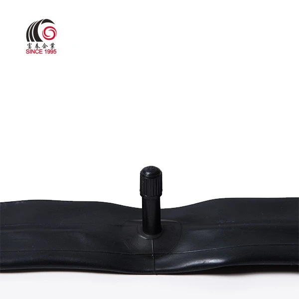 16 x 1.95 bike tube
